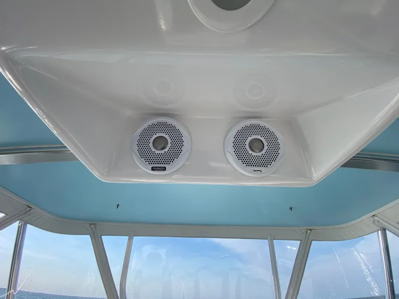 Slide: The Image of Fusion speakers - 13