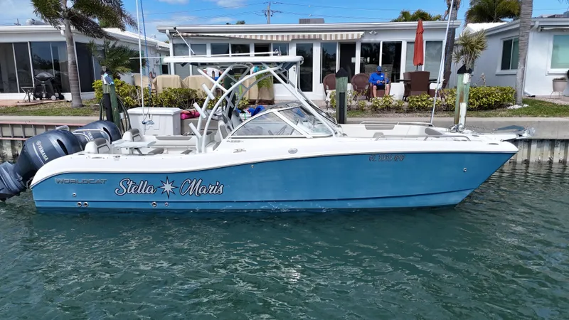 The Image of World Cat 255 DC 2019 - undefined