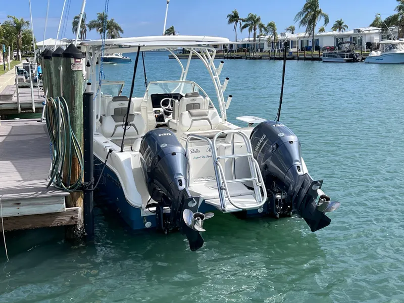 Slide: The Image of 2019 World Cat 255 DC boat canopy under a clear blue sky. - 18