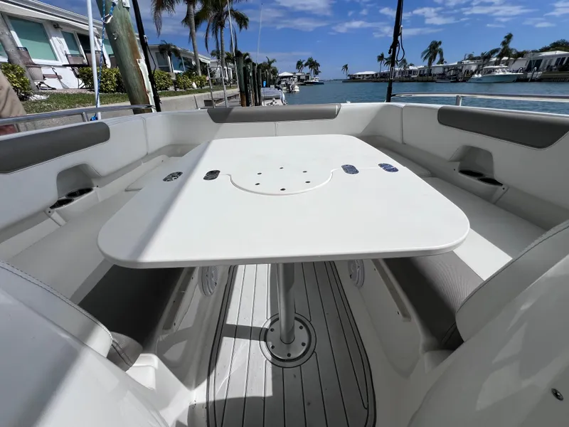 Slide: The Image of Garmin display on World Cat 255 DC boat, 2019 model. - 38