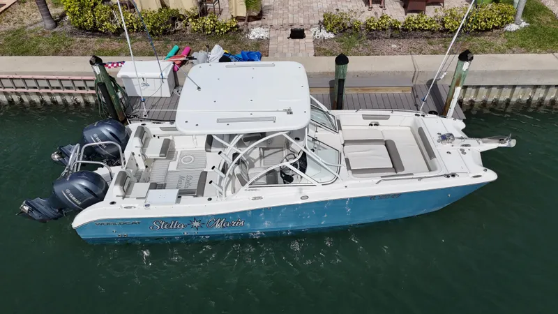 Slide: The Image of 2019 World Cat 255 DC boat on clear blue water under a sunny sky. - 5