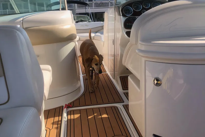 Slide: The Image of Dog walking on a 2001 Sea Ray 290 Bowrider boat's deck. - 11