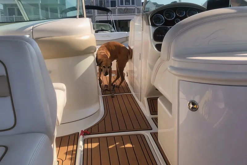Slide: The Image of 2001 Sea Ray 290 Bowrider interior with a dog on deck. - 12