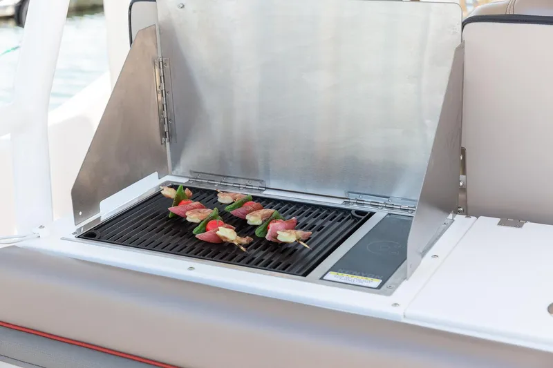 Slide: The Image of Grill on 2024 Solara 250 CW boat with skewers cooking. - 22