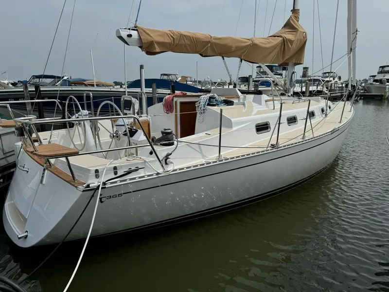Slide: The Image of 2025 Tartan 365 sailboat docked at marina, featuring sleek design and beige sail cover. - 2