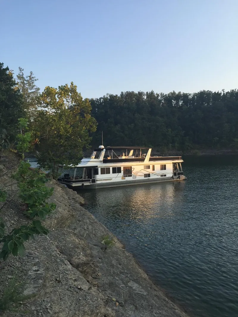 The Image of 2003 Lakeview Houseboat docked by a forested lakeshore. - 0