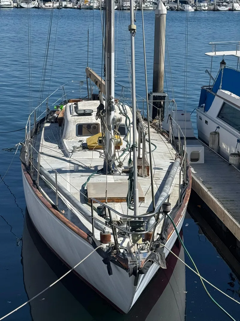 Slide: The Image of Columbia 50 1967 - 53