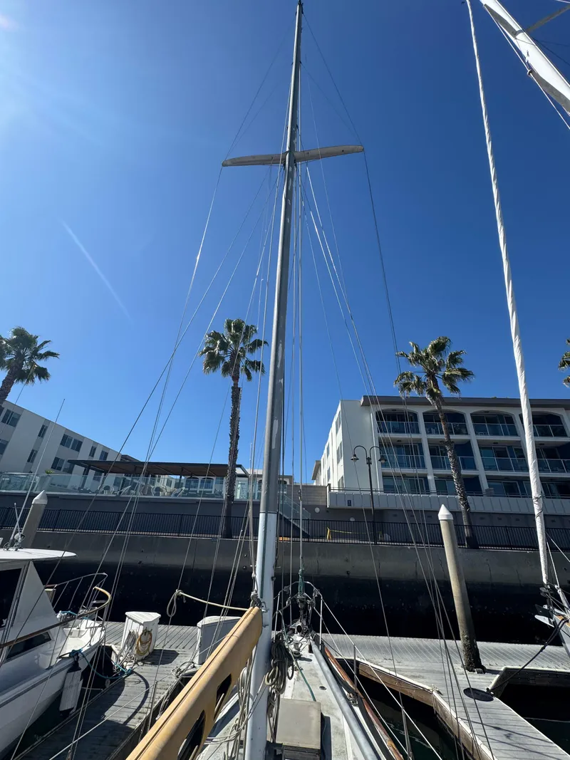 Slide: The Image of 1967 Columbia Yacht 50 docked, mast view, clear blue sky, palm trees in background. - 6