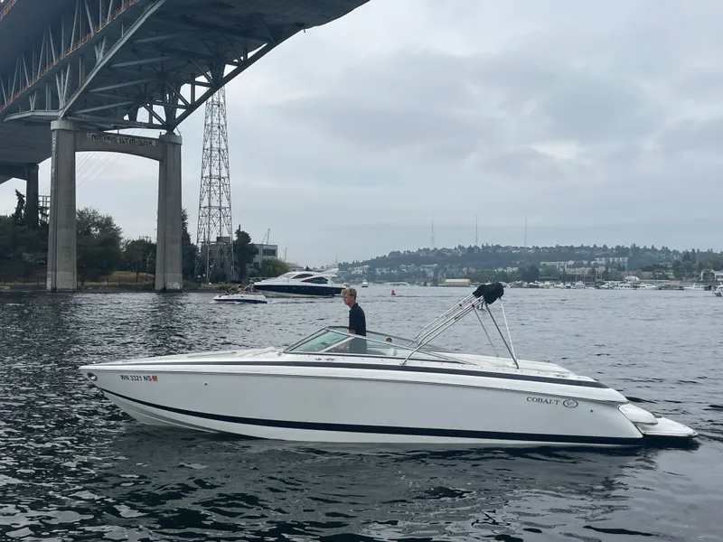 The Image of Cobalt 262 2004 - 1