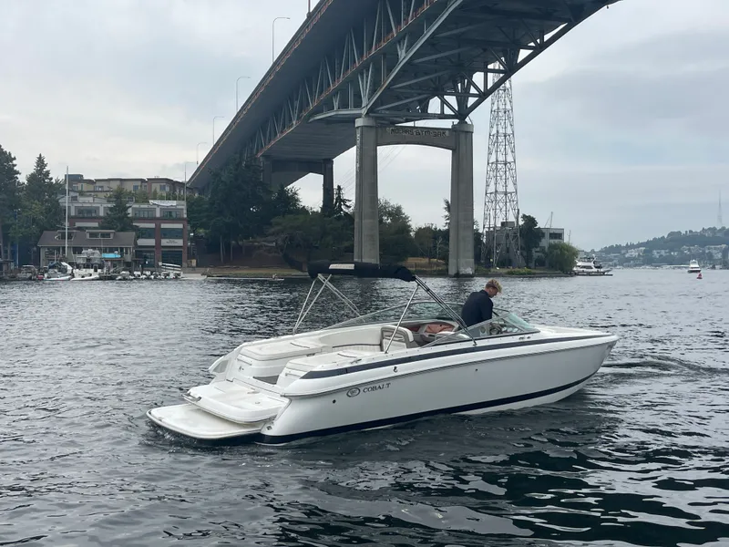 Slide: The Image of Cobalt 262 2004 - 6