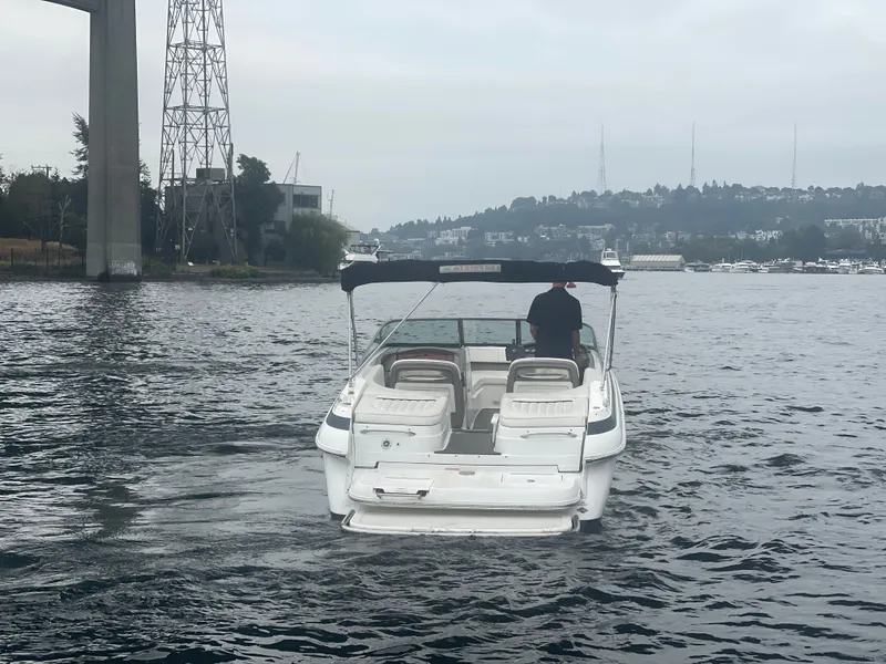 Slide: The Image of Cobalt 262 2004 - 7