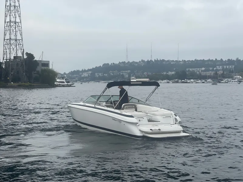 Slide: The Image of Cobalt 262 2004 - 8