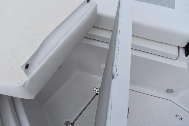 Slide: The Image of Blackfin 272CC 2024 - 104