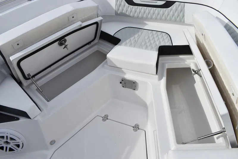 Slide: The Image of Blackfin 272CC 2024 - 106