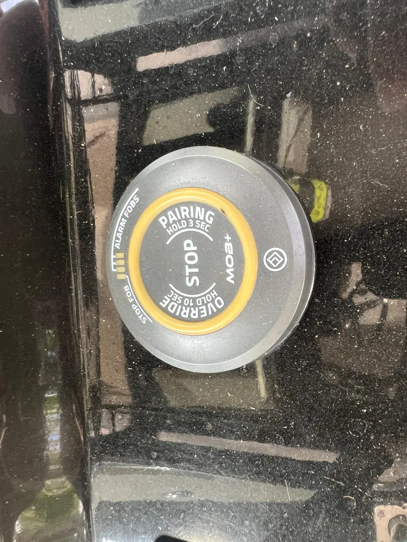 Slide: The Image of Scout 255 LXF 2019 - 82