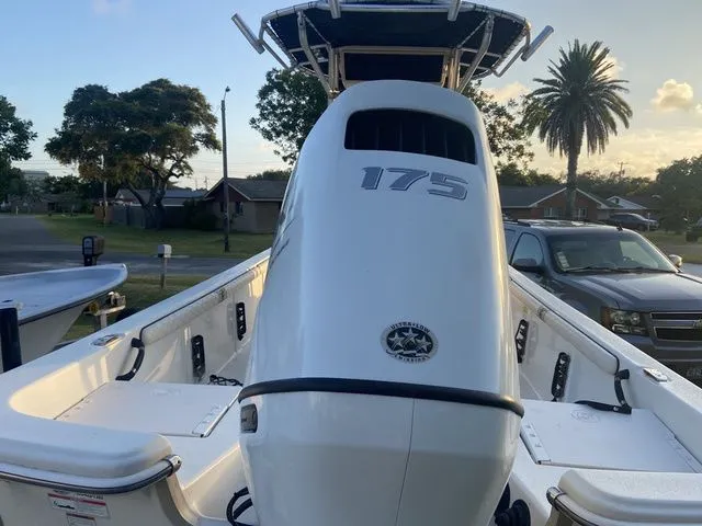 Slide: The Image of Carolina 25 LS 2021 - 4