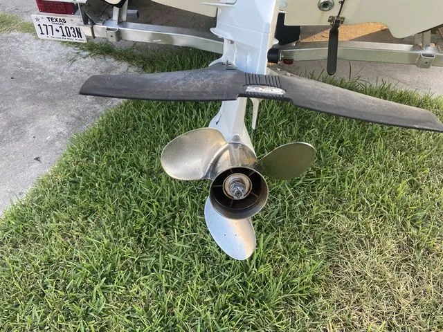 Slide: The Image of Carolina 25 LS 2021 - 5