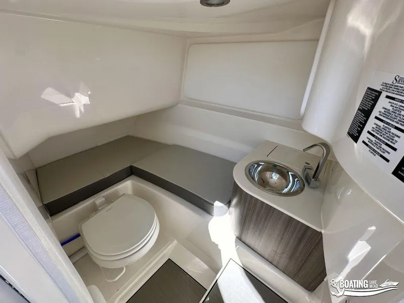 Slide: The Image of Sea Ray 250 SDX 2025 - 9