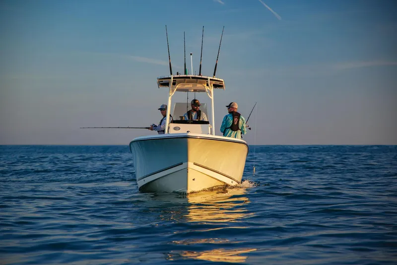 Slide: The Image of Mako 214 CC 2024 - 102