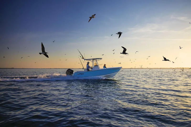 Slide: The Image of Mako 214 CC 2024 - 92