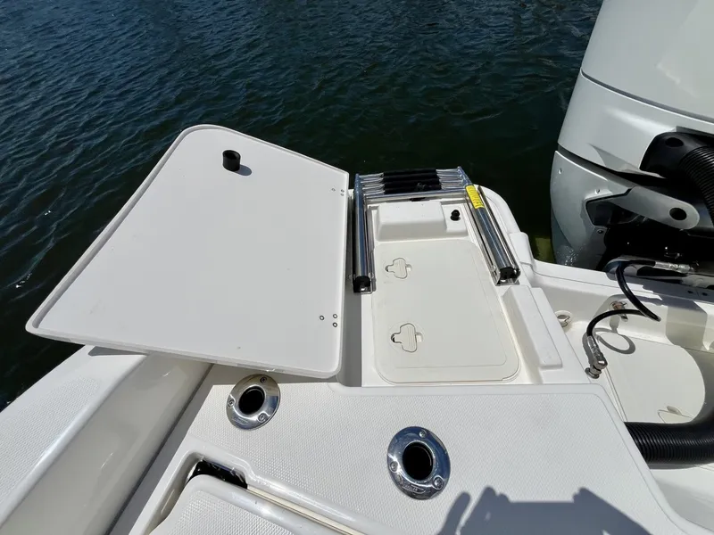 Slide: The Image of Boston Whaler 250 DAUNTLESS 2025 - 31