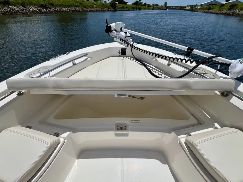 Slide: The Image of Boston Whaler 250 DAUNTLESS 2025 - 24