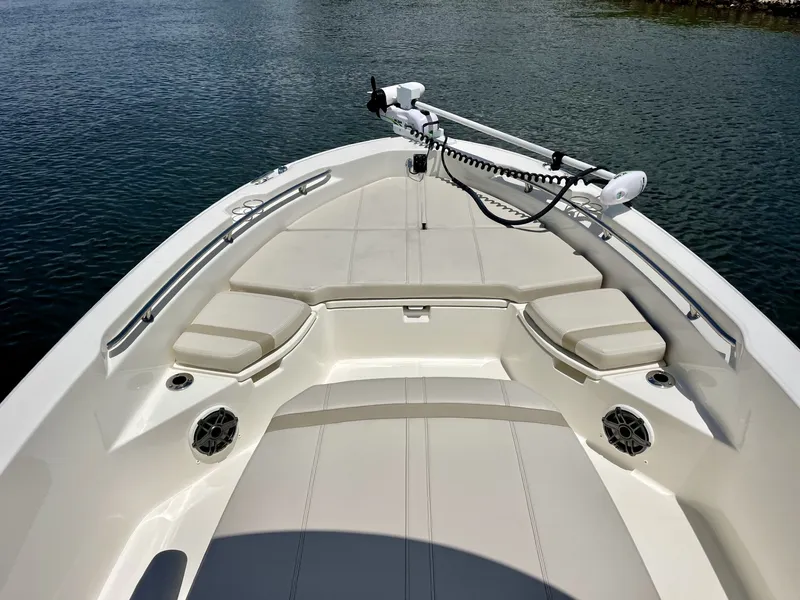 Slide: The Image of Boston Whaler 250 DAUNTLESS 2025 - 23