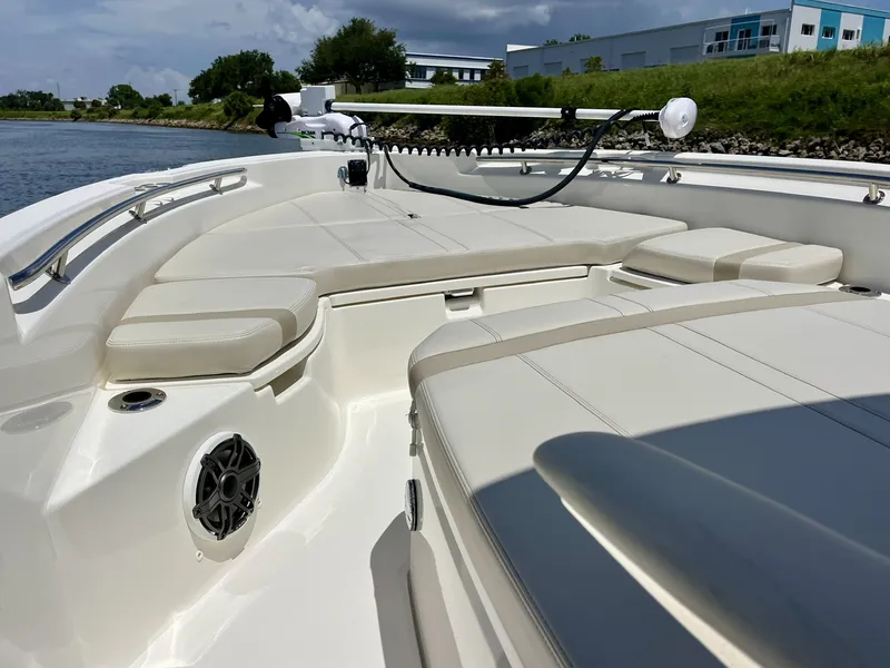 Slide: The Image of Boston Whaler 250 DAUNTLESS 2025 - 25