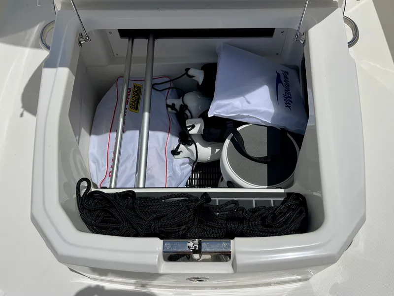 Slide: The Image of Boston Whaler 250 DAUNTLESS 2025 - 27