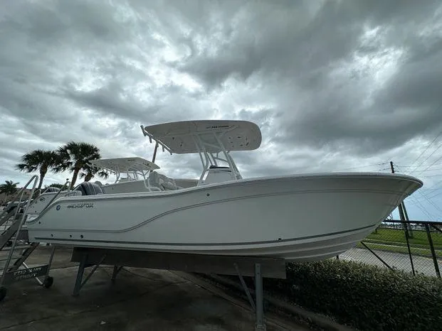 Slide: The Image of 2024 Sea Fox 248 Commander boat on display under cloudy skies. - 1