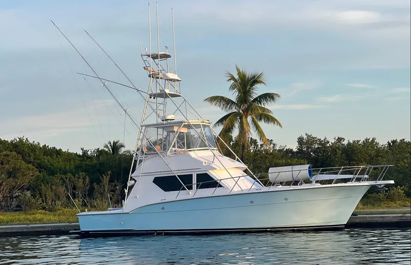 The Image of 1990 Hatteras 45 Convertible yacht docked near palm trees, calm water. - 1
