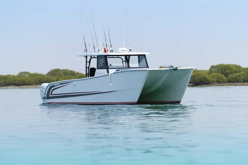 The Image of Custom SilverCAT 40CC 2025 - undefined