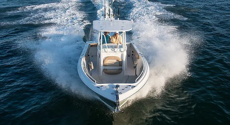 Slide: The Image of Sailfish 242 CC 2021 - 11