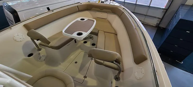 Slide: The Image of Sailfish 242 CC 2021 - 4