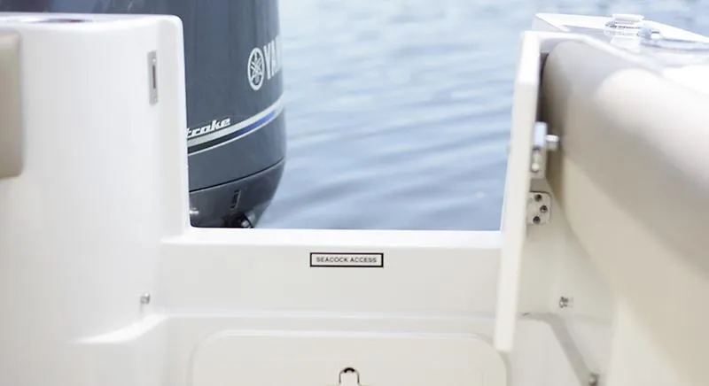 Slide: The Image of Sailfish 242 CC 2021 - 5