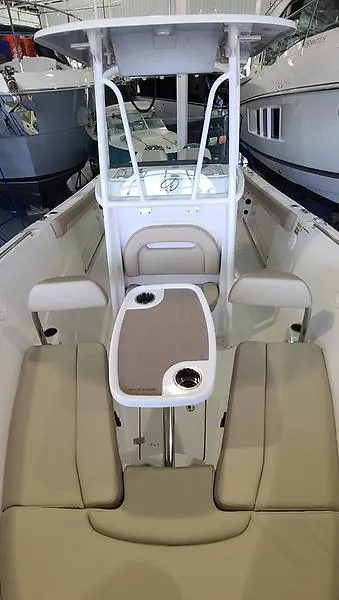 Slide: The Image of Sailfish 242 CC 2021 - 9