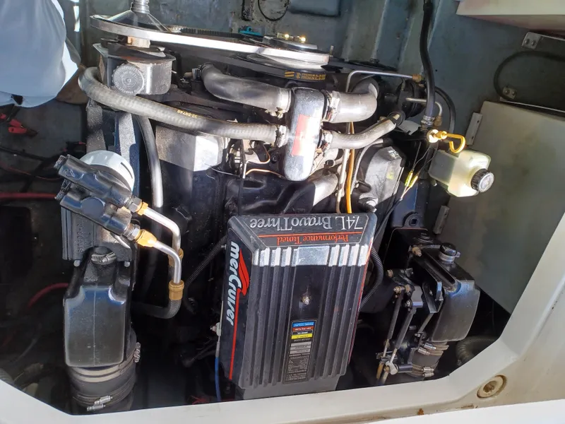 Slide: The Image of 1996 Sea Ray 250 Sundancer engine compartment with MerCruiser engine. - 6