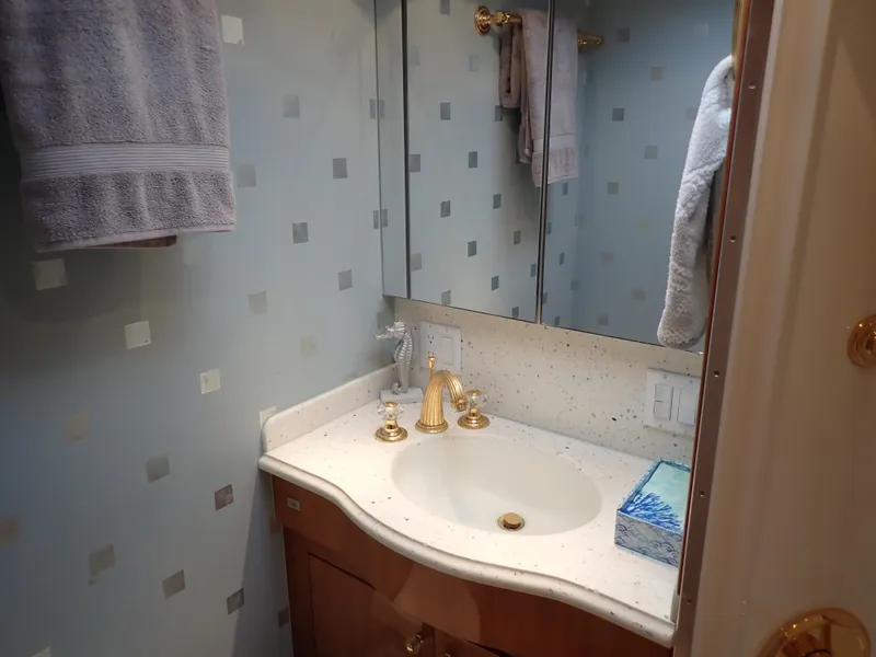 Slide: The Image of Hatteras 60 SOMETHING FISHY - Guest Head - 17