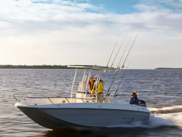 The Image of Bayliner Element F21 2017 - undefined