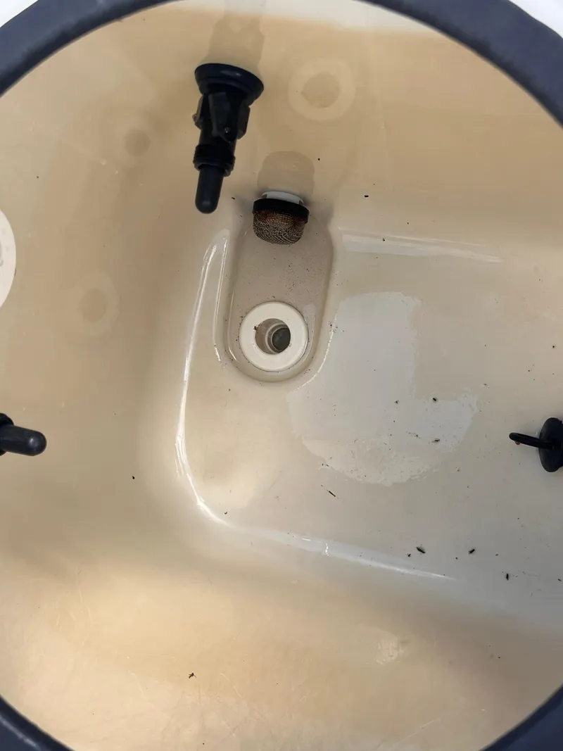 Slide: The Image of Interior view of 2015 Triton 240 LTS boat livewell. - 26