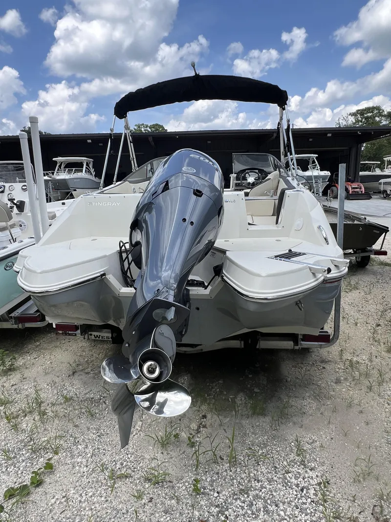 Slide: The Image of Stingray 231DC 2022 - 3