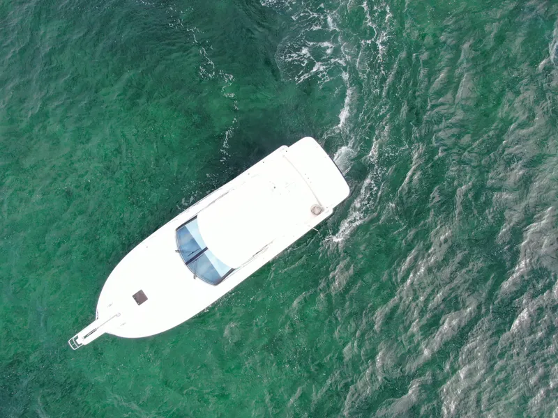 Slide: The Image of Uniesse 42 Open 2001 - 80