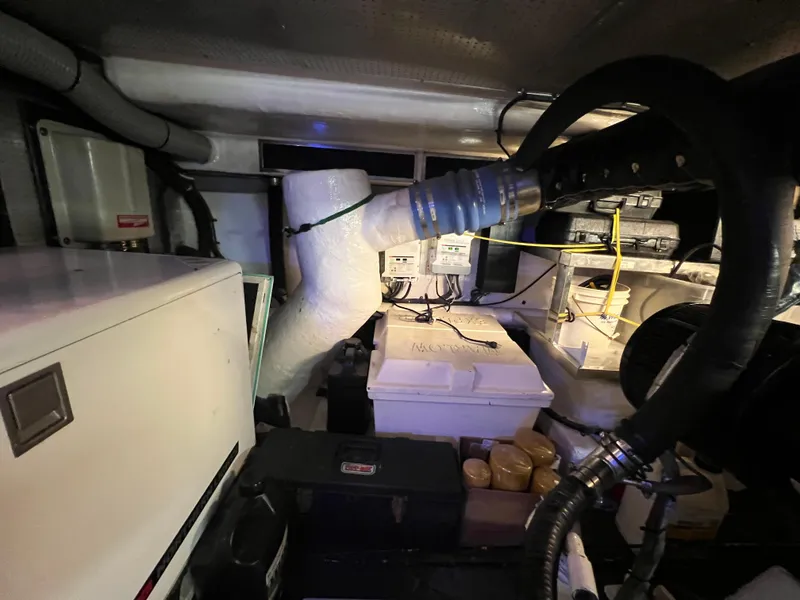 Slide: The Image of Marlow 65 2003 - 84