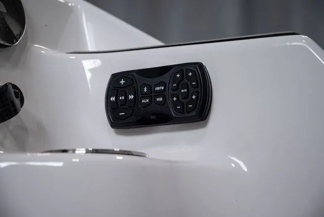 Slide: The Image of Yamaha 252SD 2024 - 18