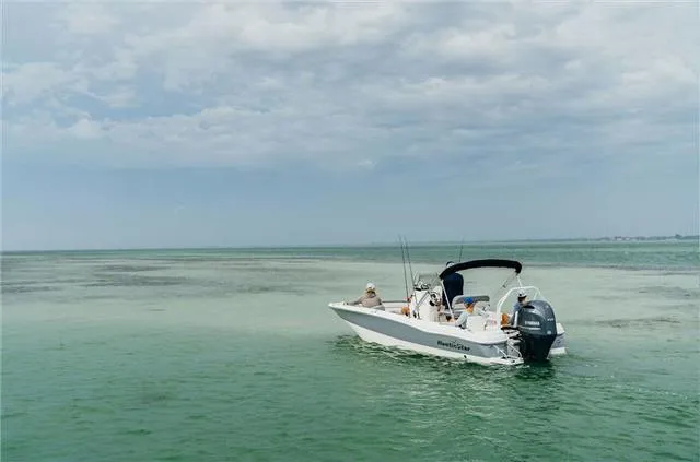 Slide: The Image of NauticStar 211 Hybrid 2024 - 10