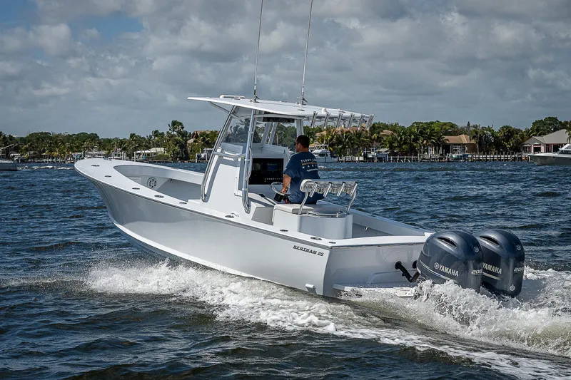 Slide: The Image of Bertram 25 Moppie 1969 - 50