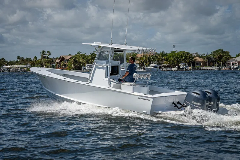 Slide: The Image of Bertram 25 Moppie 1969 - 51