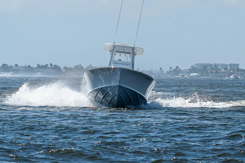 Slide: The Image of Bertram 25 Moppie 1969 - 64