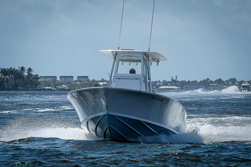 Slide: The Image of Bertram 25 Moppie 1969 - 65