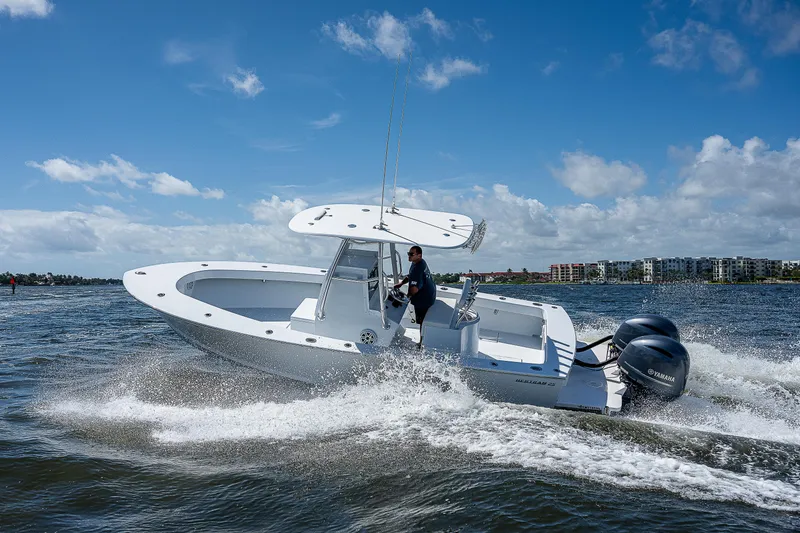 Slide: The Image of Bertram 25 Moppie 1969 - 76